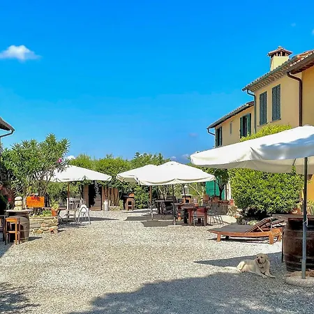 Alloro 3 Apartment